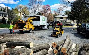 Best Lawn Mowing  in Pomeroy, WA