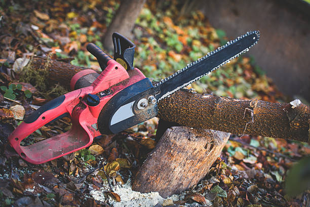 Best Lawn Maintenance Plans  in Pomeroy, WA